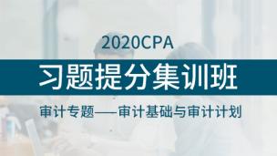 2020CPA习题提分集训班：审计专题——审计基础与审计计划