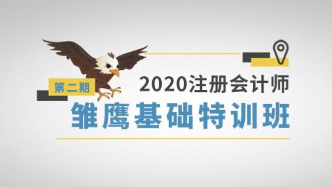 雏鹰特训班【审计】 